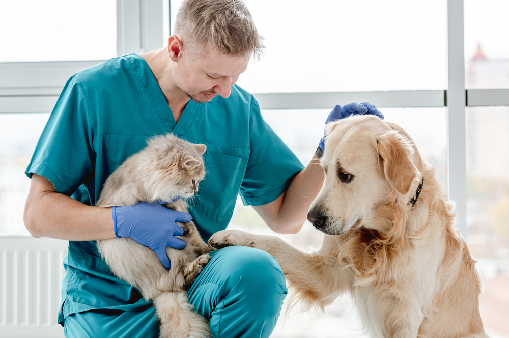 Vet,With,Dog,And,Cat,In,Clinic
